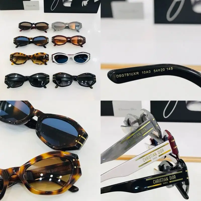 Dior Glasses smr (121)